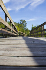 wooden bridge in the forest