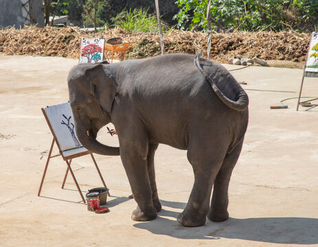Elephant In the Zoo Painting