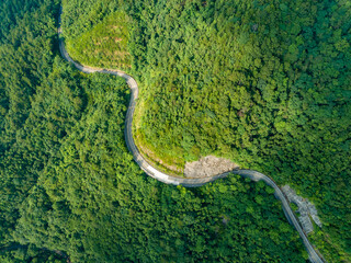 Aerial shot of winding winding road in green forest