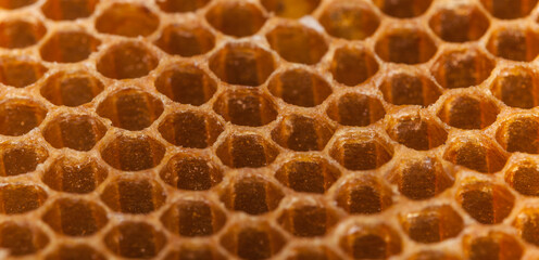 honeycomb