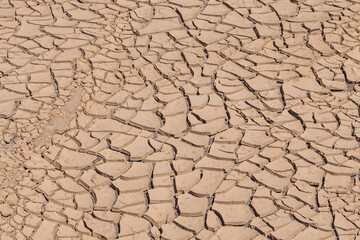 dry cracked earth