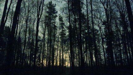 Fototapeta premium background with rays of light