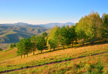 Fototapeta na wymiar Aya Nature Park in the Altai Mountains