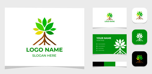 Template Logo Creative Mangrove tree and root mangrove minimalist shape concept. Creative Template with color pallet, visual branding, business card and icon.