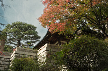 korea garden in spring