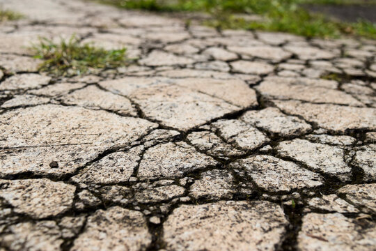 The cracked concrete floor surface in the school yard looks like dry ground cracks. The photo shoot did not focus on the green grass growing in the cracks. Soft focus concept.