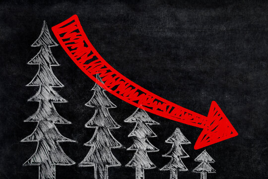 Declining arrow and drawn fir tree on blackboard