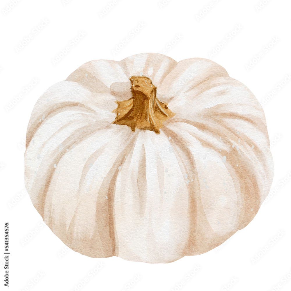 Wall mural Autumn white pumpkin watercolor illustration design