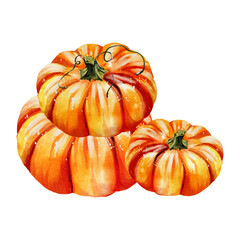 Autumn pumpkins watercolor