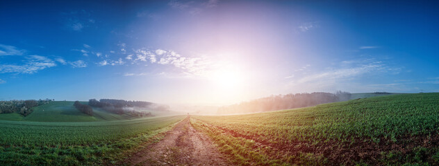 Naklejka na ściany i meble green field and the rising sun Over the country road