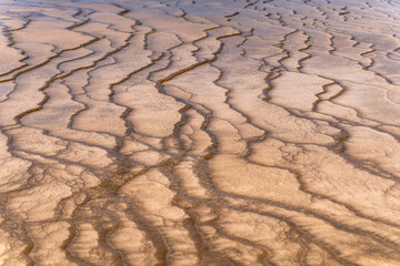 Colored microorganisms. Grand Prismatic Spring in Yellowstone National Park.