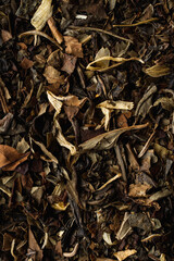 Granulated dry green tea with herbs and flowers, aesthetic photography