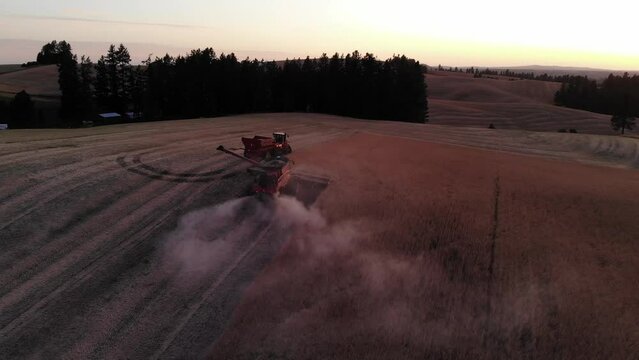 A combine harvest wheat at the end of season near Freeman, Washington