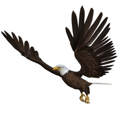 Eagle Flying 3d rendering