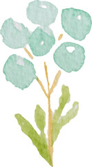 watercolor green leaf element