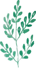 watercolor green leaf element