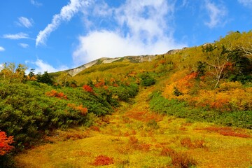 秋深まる栂池自然園の紅葉