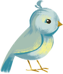 blue bird with a bird