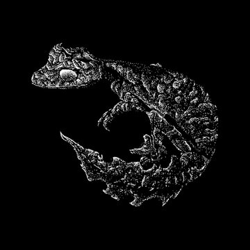 Satanic Leaf-tailed Gecko Hand Drawing. Vector Illustration Isolated On Black Background.