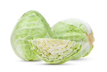 pointed cabbage on transparent png