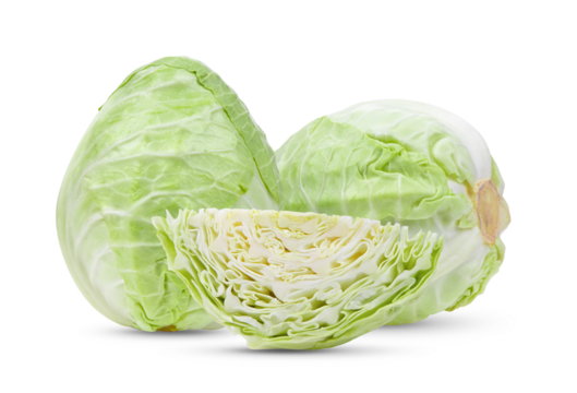 pointed cabbage on transparent png