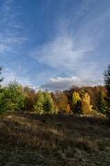 Obraz premium Jesień w Bieszczadach 