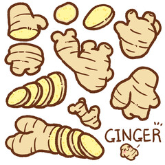 ginger cartoon drawing set