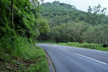 Roadside view of a steep mountain road on rainy day with sharp turn ahead
