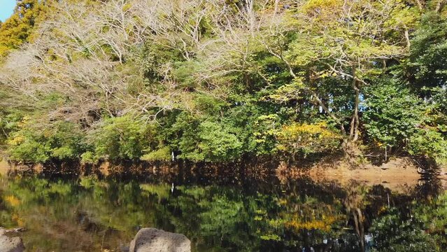 Autumn forest with trees in different colors and their reflection on the lake