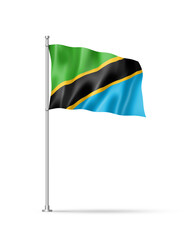 Tanzania flag isolated on white