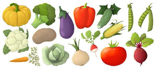 Autumn harvest, vegetables. A set of illustrations on a white background.