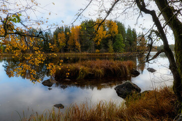 River and natural salomon area in autumn. Farnebofjarden national park in north of Sweden.