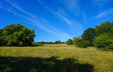 Landscape at the Dönche nature reserve near Kassel. Nature with hills and meadows.
