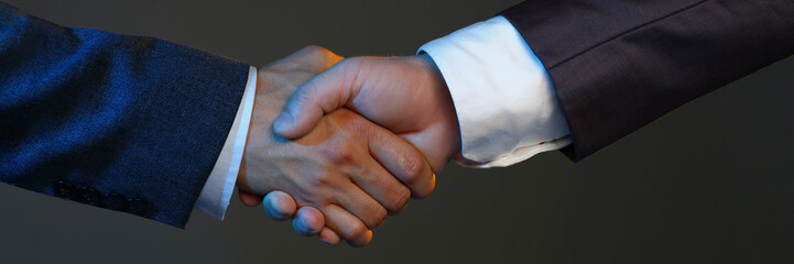 Biz partners shake hands, beneficial decision, support each other, confirm deal
