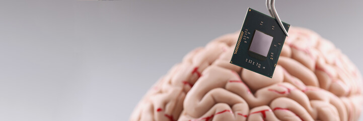 Person use tweezers to put tiny computer chip in plastic human brain model