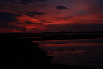 Sunset in a paddy field in rural area
