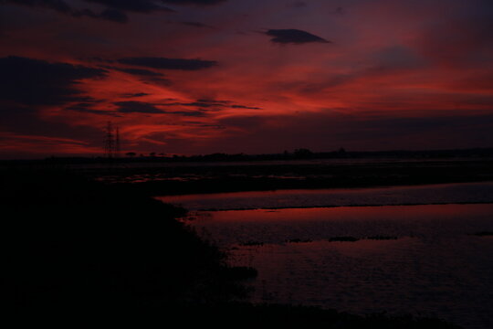 Sunset in a paddy field in rural area