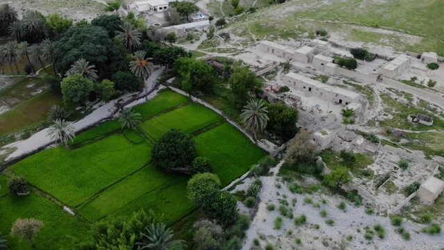 Aerial View Of Village Located In Khuzdar With Lush Green Trees And Gardens Surrounded By Desert Landscape. Parallax Shot