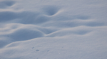 White fluffy snow on the ground as a background.