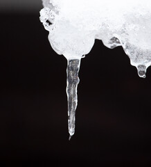 Naklejka na ściany i meble An icicle hangs from the snow.