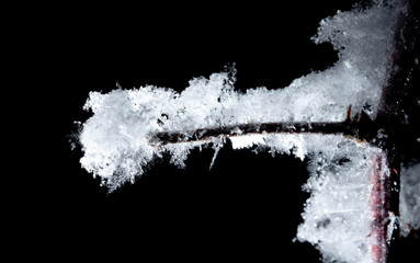 Obraz premium White snowflakes on a tree branch is isolated on a black background.
