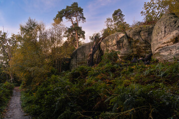 Fototapeta na wymiar Autumn dawn at Eridge Rocks on the High Weald East Sussex south east England