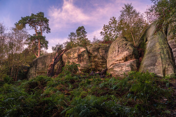 Autumn dawn at Eridge Rocks on the High Weald East Sussex south east England