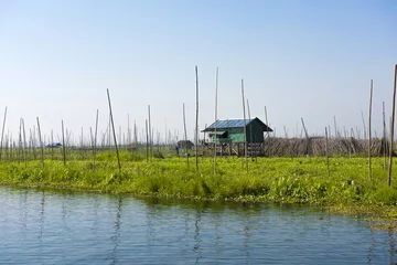 Selbstklebende Fototapeten Floating vegetable plantation in Inle lake in Myanmar © Fyle