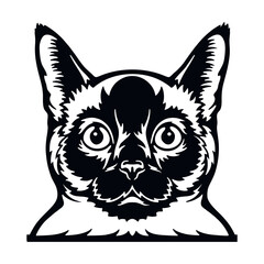 Siamese Cat Vector, Peeking Cats, Cats Breed, Pet Vector portrait, Cats Head