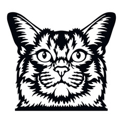 Somali Cat Vector, Peeking Cats, Cats Breed, Pet Vector portrait, Cats Head