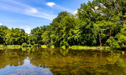 Fototapeta na wymiar Historic park surrounding XVI century Rozalin Palace with vintage trees and ponds during summer season in Rozalin village in Mazovia region of Poland