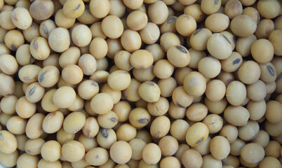 Close up soybeans 