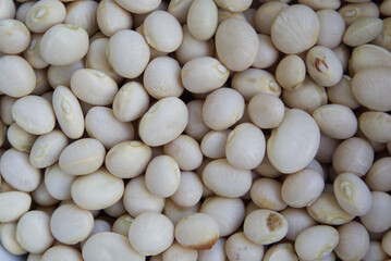 Close up of White beans  