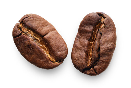 Group of roasted coffee beans